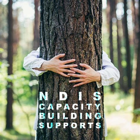 Capacity Building Supports Ndis Plan Budgets And Line Items