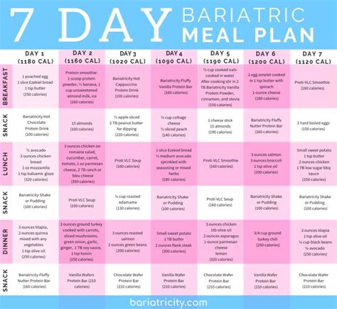 Bariatric Meal Planning Guide Day Sample Meal Plan Bariatricity