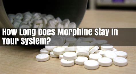 As said in the beginning, knowing how long ativan stays in your system will prove. How Long Does Morphine Stay In Your System?