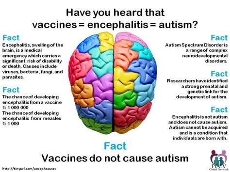 Varicella vaccine in routine use in the united states can very rarely cause viral meningitis. Antivax Myth: "Vaccines cause autism" - Vaccine F.Y.I.