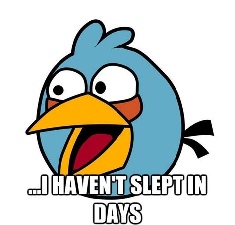 7 Best Angry Birds Memes For A Laugh