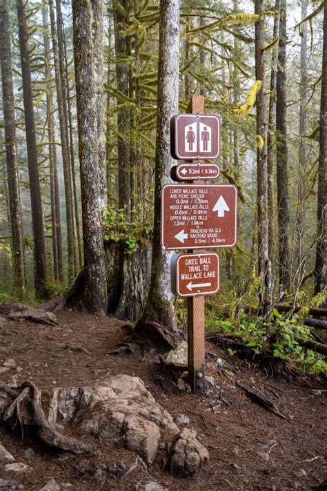How To Hike The Wallace Falls Trail A Complete Guide