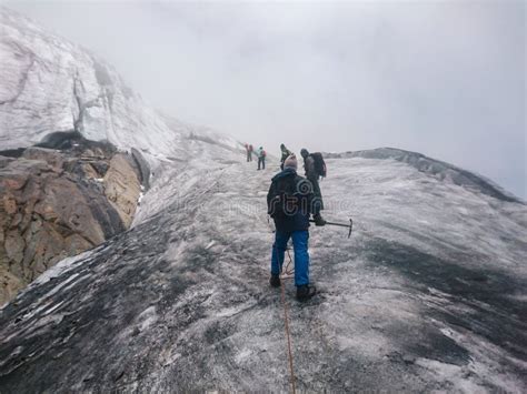 Hikers In The Margherita Glacier Rwenzori Mountains Uganda Editorial