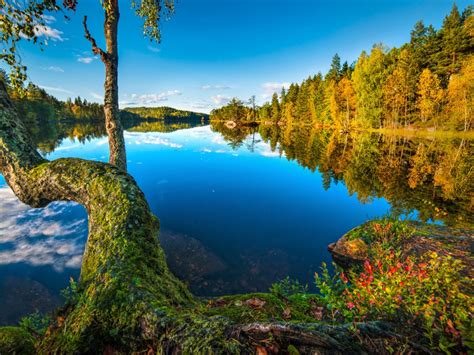 Hurum Buskerud Norway Lake Wood Forest Reflection In Water Wallpaper Hd For Desktop