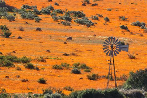 And while you will find the place crowded with tourists, the activities the fact that you can only enjoy the sight of bright, colorful flowers during the spring season is a myth. Trip to Namaqua national park in Namaqualand (South Africa ...