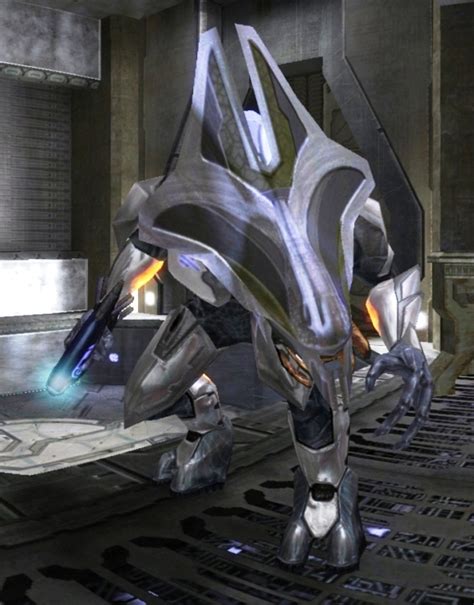 Image Councilor3 Halo Nation Fandom Powered By Wikia