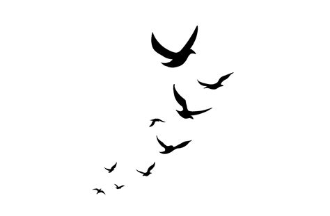 The Flying Birds Illustration Isolated On A White Background A Flock