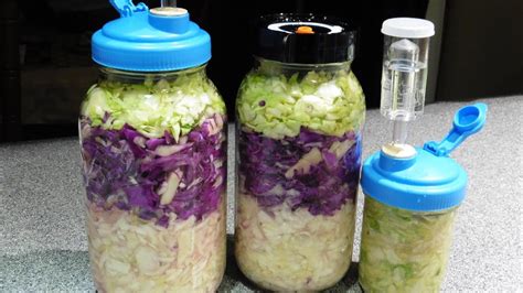 rmm0067 fermented cabbage the traditional method in mason jars fermented cabbage mason