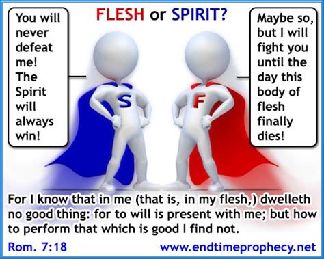 Old Man Vs New Man Flesh Vs Spirit Graphic 06 Bible Verse List