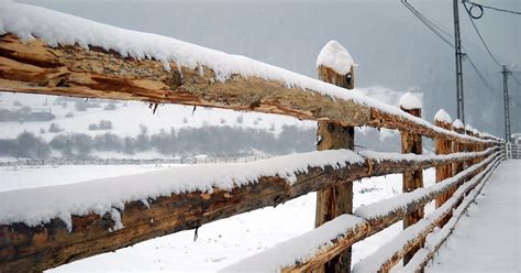 The Ultimate Guide To Protecting Your Wood Fence This Winter
