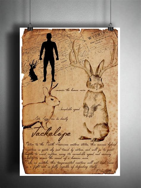 Jackalope Folklore Art Sketch Cryptid Field Guide Bestiary Etsy
