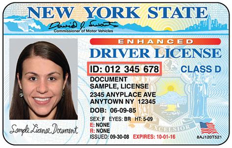 Check spelling or type a new query. Your driver's license number and driver's.. - Federal ...