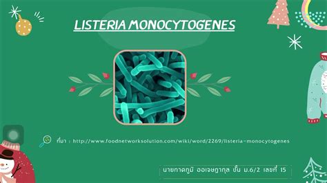 Listeria Monocytogenes นายภาคภูมิ ออเจษฎากุล 60215 Youtube
