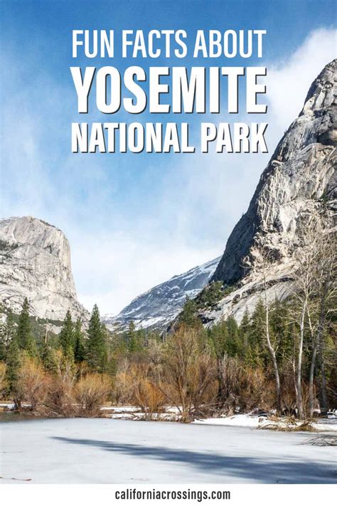 15 Fun Facts About Yosemite National Park That Will Surprise You