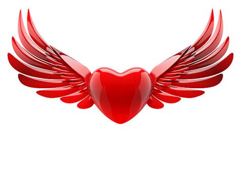 Winged Heart Stock Photos Pictures And Royalty Free Images