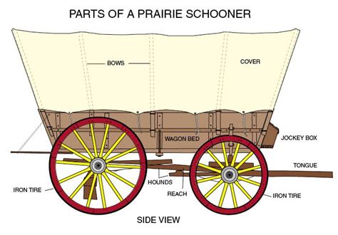 Conestoga Wagon Plans Labeled Diagram Great For Notebook