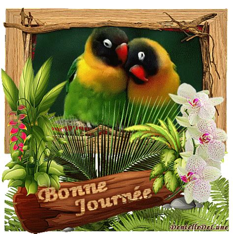 Champagne !, une carte anniversaire animée : bonne-journée-gif-animé-avec-oiseaux-exotiques - les gifs ...