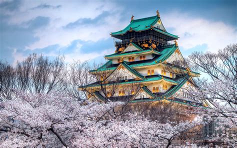 45 4k Nature Wallpaper Spring Japan Wallpapersafari