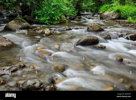 Mountain Stream In Green Forest At Spring Time Stock Photo Alamy