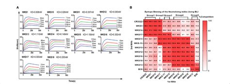 A Binding Kinetics Of Selected Anti Rbd Mabs With The Recombinant