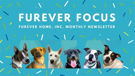 Get Involved | FurEver Home, Inc. | United States