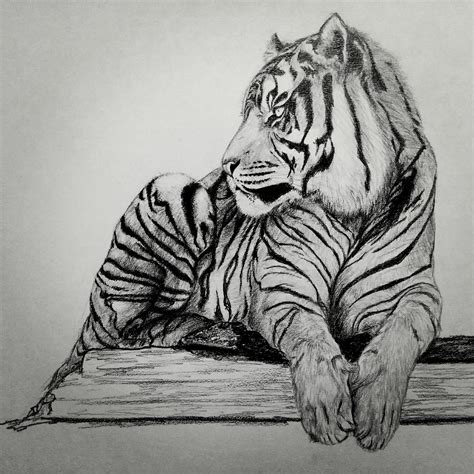 Tigre De Bengala Tigger Tigre De Bengala Arte Dibujar Arte
