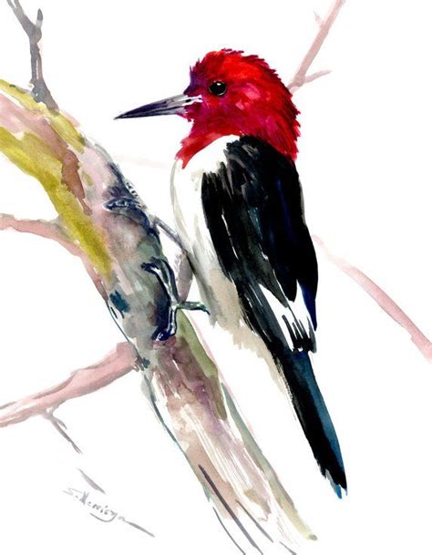 Buy Red Headed Woodpecker Original Watercolor Painting Watercolor By