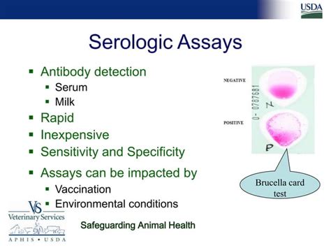 Differential Diagnosis Of Brucellosis Serologic Reactions Ppt