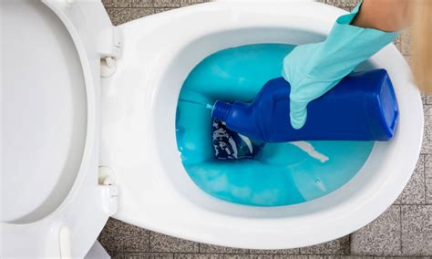 Hidden Germs 6 Things You Need To Know About Bathroom Germs