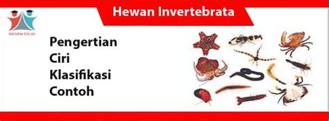 Klasifikasi Hewan Invertebrata
