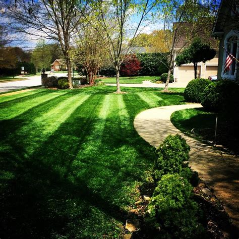 LAWN CARE | Chattanooga's Premier Lawn Care and Landscaping ...