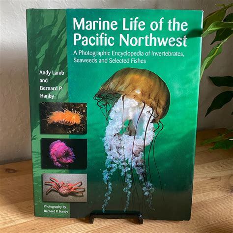 Marine Life Of The Pacific Northwest A Photographic Encyclopedia Of I