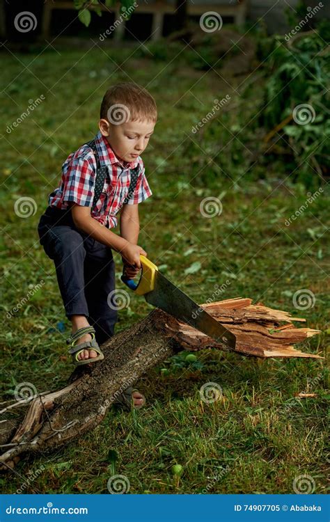 Boy Sawing Fallen Tree In Garden Stock Image Image Of Children