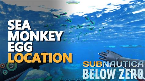 Sea Monkey Egg Subnautica Below Zero Location YouTube