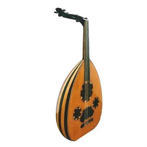 Arabic Musical Instrument At Rs 20985piece Bilaspur Gate Rampura