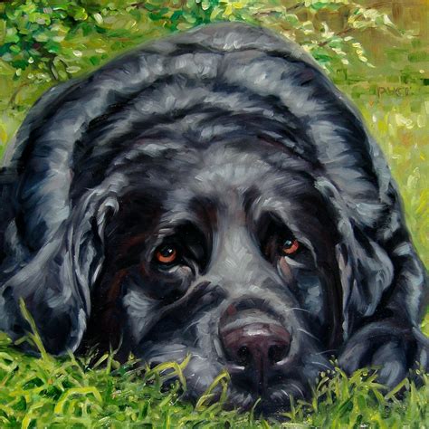 Lovelylucy Custom Pet Portrait Oil Painting By By