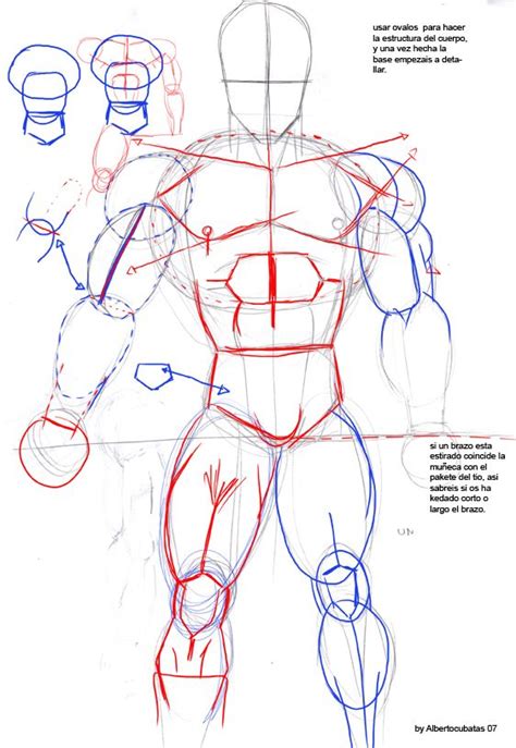 With the new dragonball evolution movie being out in the theaters, i figu. Anatomia de Dragon Ball | Dbz drawings, Dragon ball super ...