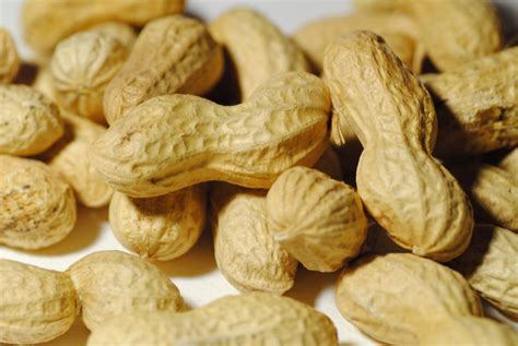 Peanuts Free Stock Photo Public Domain Pictures