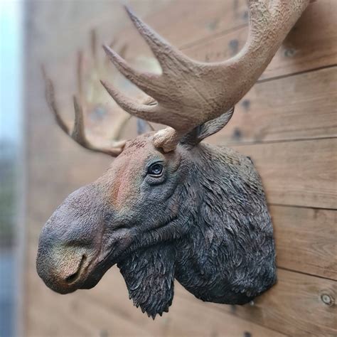 Moose Head Wall Art Airbrushed And Hand Painted Animal Etsy
