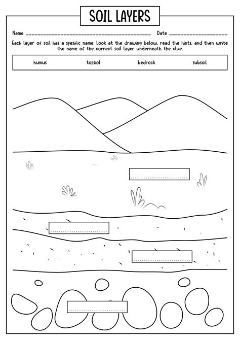 15 Worksheets On Layers Of Soil Free Pdf At