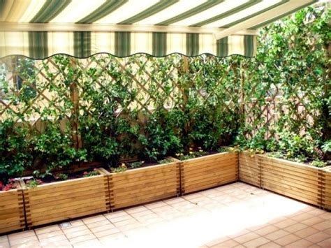 Best Balcony Trellis Ideas About Remodel Home Design Picture With