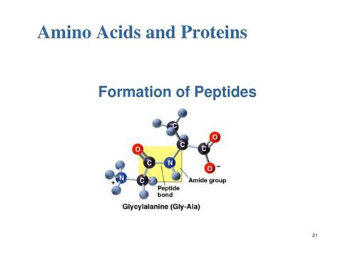 Ppt Amino Acids And Proteins Powerpoint Presentation Free Download