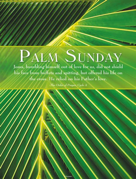 Palm Sunday Palm Diocesan
