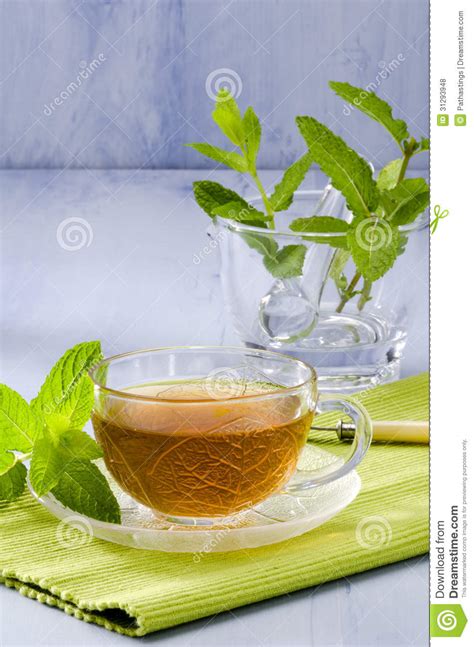 tea mint tea herbal tea mint leaf mint leaves tea in a glass cup mint leaves dried tea