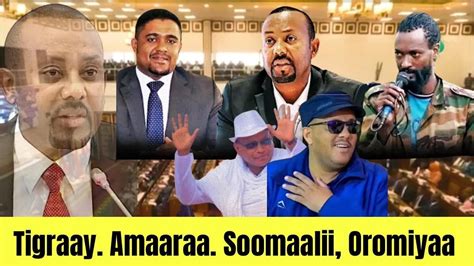 Tigraay Amaaraa Soomaalii Oromiyaa Fi Oduulee Biraa Youtube