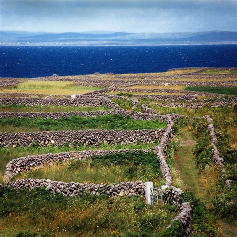 Ireland Aran Isles Inishmore Dry Stone Walls Sq Dry Stone Wall
