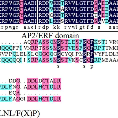 Sequence Alignments Of Agerf8 And Other Arabidopsis Erf Proteins