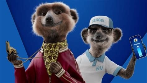 Compare The Markets Meerkats Want Aussies To Take Another Look At