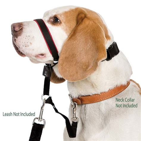Halti Optifit Head Collar For Dogs Stops Pulling On The Leash Pet