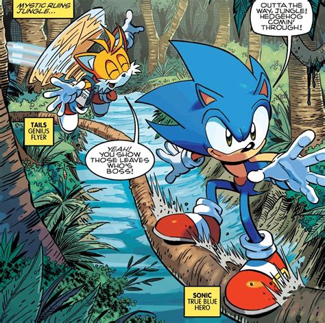 Archie Sonic The Hedgehog Issue 253 Sonic News Network Wikia